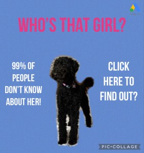 Click here to find out?